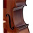 Віолончель Stentor Student I Cello Outfit 1/2 (1102E2)