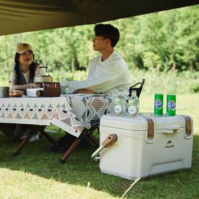 Термобокс Naturehike CNH22CJ10001 45 л бежевий (6975641884996)