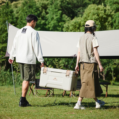 Термобокс Naturehike CNH22CJ10001 45 л бежевий (6975641884996)