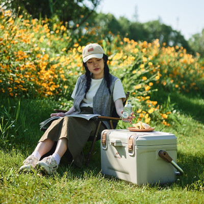 Термобокс Naturehike CNH22CJ10001 45 л бежевий (6975641884996)