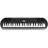 Синтезатор Casio SA-81 (309581)