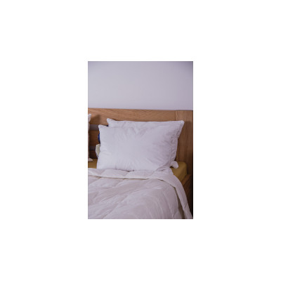 Подушка Billerbeck 308 Ambiente 50x70 см (51903277)