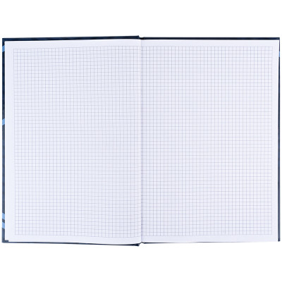Книга записна Axent Lines А4, 96 аркушів, клітинка, синя (8422-581-A)