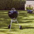 Гриль-барбекю Weber Original Kettle E-4710 47 см Black (13101004)