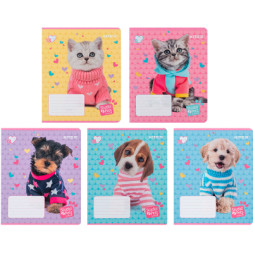 Зошит Kite Studio Pets 18 аркушів, лінія (SP24-237)