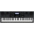 Синтезатор Casio WK-6600 (222022)