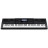 Синтезатор Casio WK-6600 (222022)