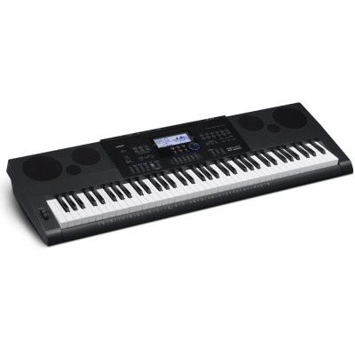 Синтезатор Casio WK-6600 (222022)