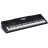 Синтезатор Casio WK-6600 (222022)
