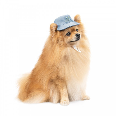 Кепка для тварин Pet Fashion Blue XS з квітковим принтом (4823082434220)
