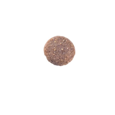 Сухий корм для собак Brit Care Dog Grain-free Adult Large Breed беззерновий з лососем 12 кг (8595602558896)