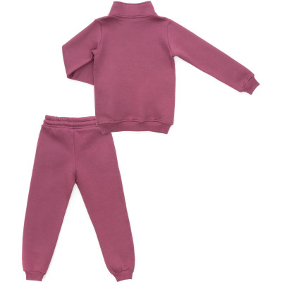 Спортивний костюм дитячий Joi флісовий (H-102-116G-pink)
