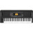 Синтезатор Korg EK-50 (227738)