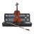 Скрипка Stentor Conservatoire II Violin Outfit 4/4 (1560A)