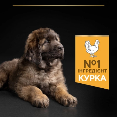 Сухий корм для собак Purina Pro Plan Dog Large Puppy Robust з куркою і рисом 12 кг (7613035120341)