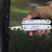 Мультитул Roxon Flash S803E (20 в 1) (S803E)