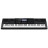 Синтезатор Casio WK-7600 (222058)