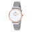 Наручний годинник Daniel Klein DK12058-5