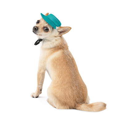 Кепка для тварин Pet Fashion Rob бірюзова ХL (4823082441419)