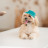 Кепка для тварин Pet Fashion Rob бірюзова ХL (4823082441419)