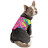Комбінезон для тварин Pet Fashion &quot;ENIGMA&quot; XS (чорний) (4823082421411)