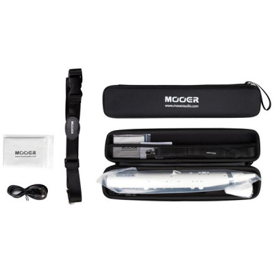 Блокфлейта Mooer Wi100 White