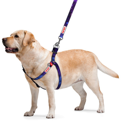 Шлея для собак WAUDOG Nylon з QR-паспортом &quot;NASA21&quot; M (4801-0148)