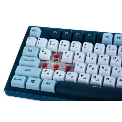 Клавіатура MONTECH Freedom MK87FR TKL FR USB UA Black (MK87FR)