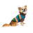 Светр для тварин Pet Fashion Happy M (4823082436125)