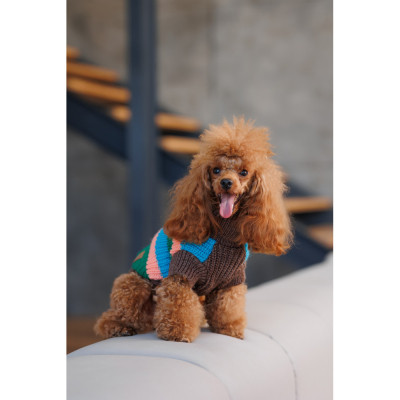 Светр для тварин Pet Fashion Happy M (4823082436125)