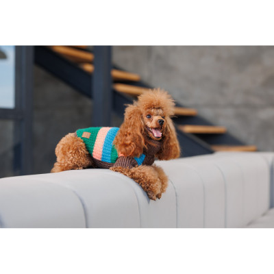 Светр для тварин Pet Fashion Happy M (4823082436125)