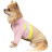 Толстовка для тварин Pet Fashion &quot;Daisy&quot; M рожева/бежева (4823082427369)