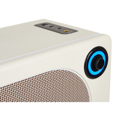 Комбопідсилювач Mooer Hornet 15i White