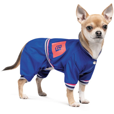 Дощовик для тварин Pet Fashion Silver M (4823082429943)