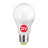 Лампочка Eurolamp А60 12W E27 4000K 12V (LED-A60-12274(12))