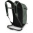 Рюкзак туристичний Osprey Sportlite 20 pine leaf green - O/S - зелений (009.3047)