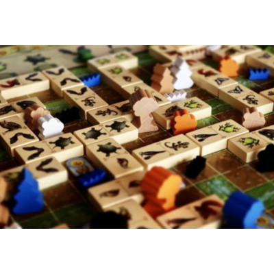 Настільна гра Capstone Games Renature (Розквіт), англійська (5060226932955)
