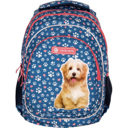 Рюкзак шкільний Astrabag AB330 Cute puppy (502022140)