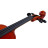Скрипка Stentor Student Standard 3/4 (1018C)