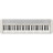 Цифрове піаніно Casio CT-S1WE (362401)