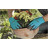 Набір інструментів Gardena садових Classic Ergo (арт.8950, 8754, 11511) з ковшем (08966-30.000.00)