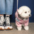 Дощовик для тварин Pet Fashion ARIEL M (4823082429882)
