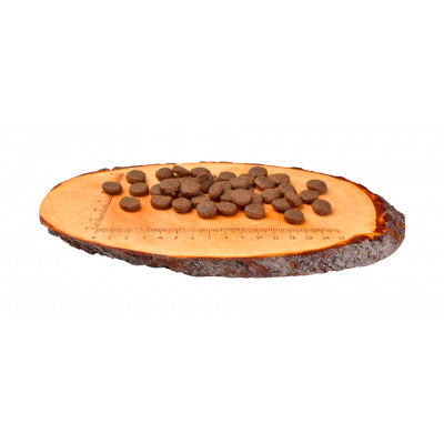 Сухий корм для собак Carnilove Puppy Large Breed Salmon and Turkey 12 кг (8595602508846)
