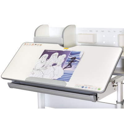 Парта Mealux Edmonton Multicolor Grey з полицею (BD-610 W/МС + G с полкой)