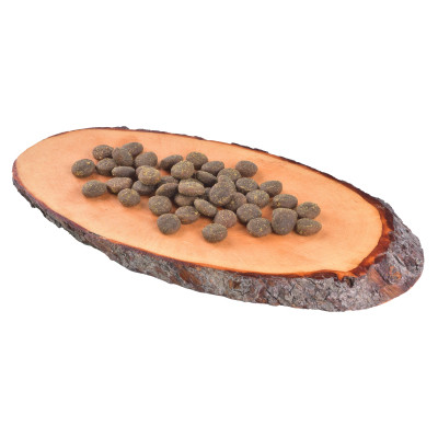 Сухий корм для собак Carnilove True Fresh FISH for Adult dogs 4 кг (8595602546008)