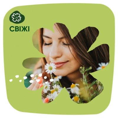 Щоденні прокладки Naturella Сamomile Light Multiform 100 шт. (8001090603760)