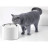 Універсальний посуд для тварин Petkit Electric Pet Cat/Dog EVERSWEET 3 PRO (P4108)