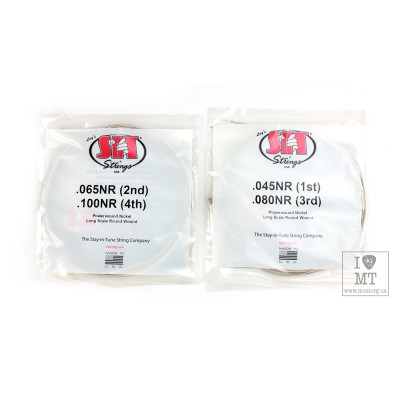 Струни для гітари SIT Strings NR45100L (45-100) (226935)