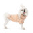 Светр для тварин Pet Fashion Sam L персиковий (4823082439133)