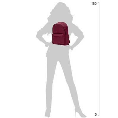 Рюкзак для ноутбука Xiaomi 14&quot; RunMi 90 Points Youth College, 15L, Deep Red (6972125147981)